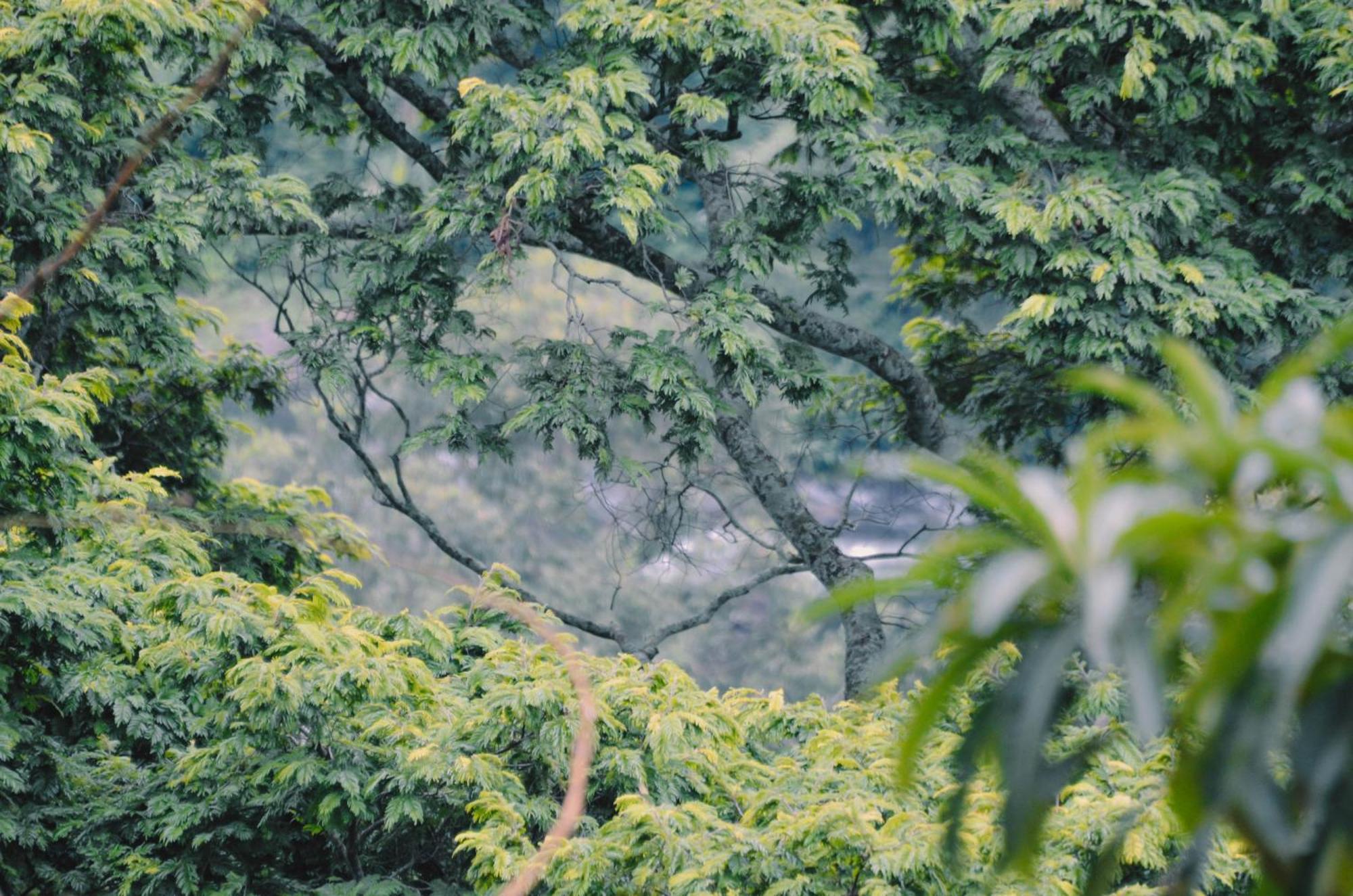 Kaliwa Lodge Moshi Exterior photo